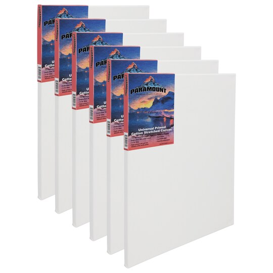 Paramount Canvas for Painting - Pack of 6, White Canvases- 11/16" 100% Cotton Stretched Canvas, Triple-Primed for All Media, Medium Tooth, Back-Stapled, 12oz Primed Weight, Wood Stretcher Bars